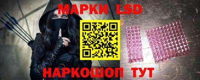 МДПВ Гатчина