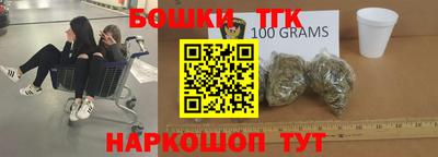 МДПВ Гатчина