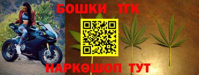 сатива Гагарин