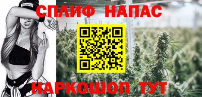 СК Гай