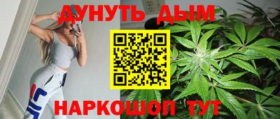 МДПВ Гатчина