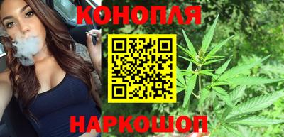 МДПВ Гатчина