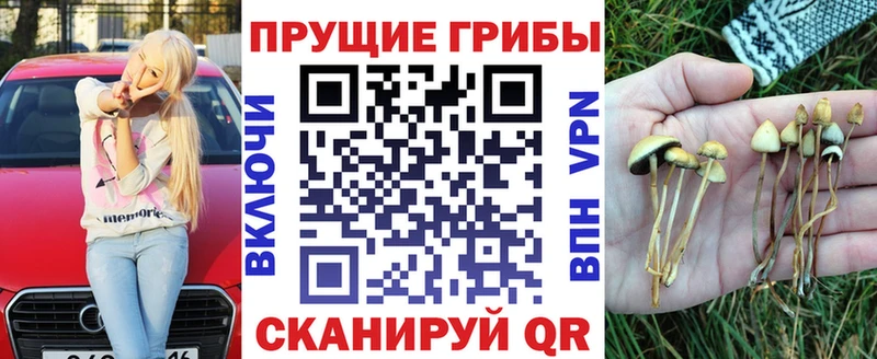 kraken ССЫЛКА  где можно купить наркотик  Удомля  Псилоцибиновые грибы ЛСД 