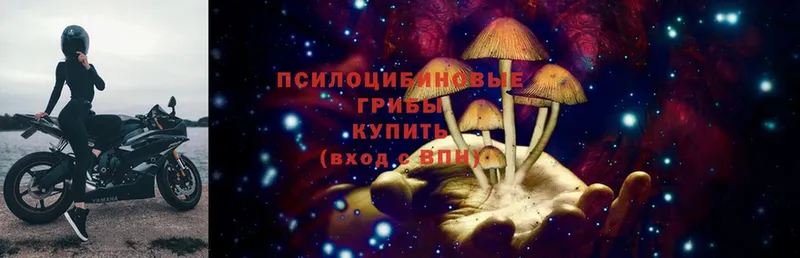 Галлюциногенные грибы Psilocybe  гидра рабочий сайт  Удомля 